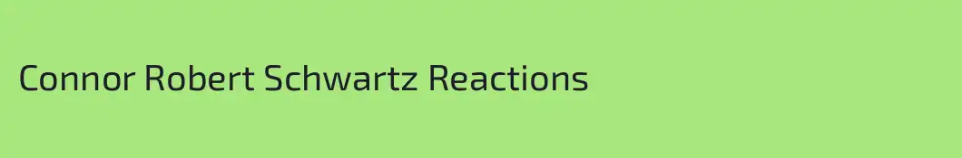 Connor Robert Schwartz Reactions 